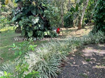 Venta de finca en Chorrera