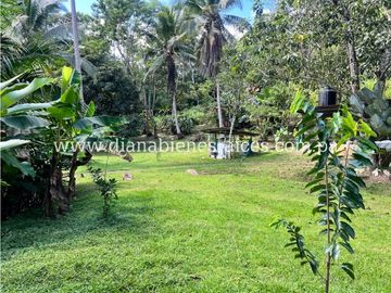 Venta de finca en Chorrera
