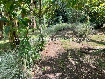 Venta de finca en Chorrera
