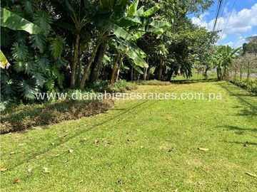 Venta de finca en Chorrera