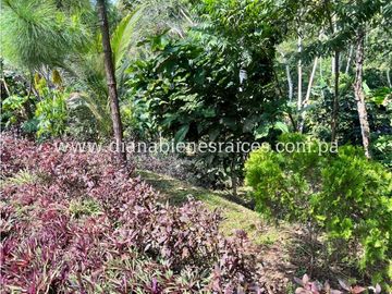 Venta de finca en Chorrera