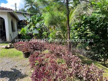 Venta de finca en Chorrera
