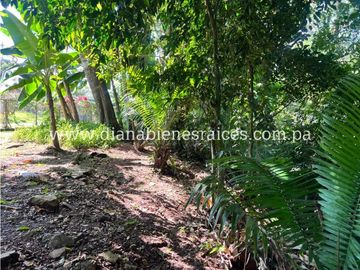 Venta de finca en Chorrera