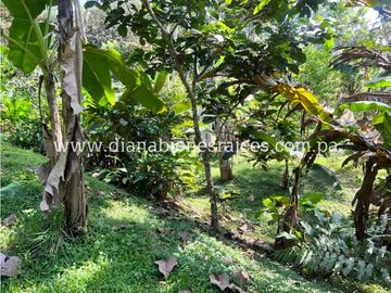 Venta de finca en Chorrera