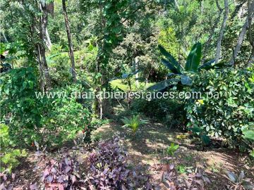 Venta de finca en Chorrera