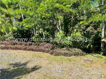 Venta de finca en Chorrera