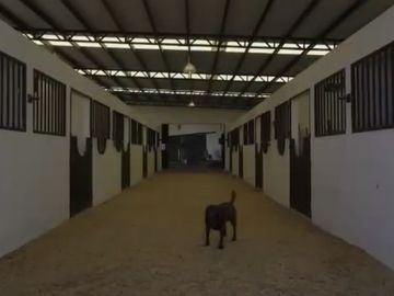 RANCHO CON LAGO