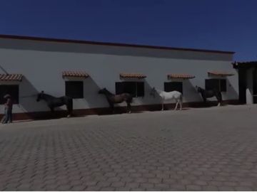 RANCHO CON LAGO