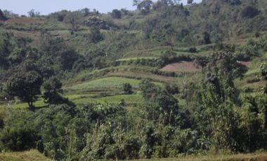 52 Hectares Titled Property For Sale, Bauang, La Union