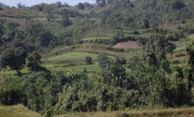 52 Hectares Titled Property For Sale, Bauang, La Union