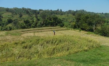 52 Hectares Titled Property For Sale, Bauang, La Union