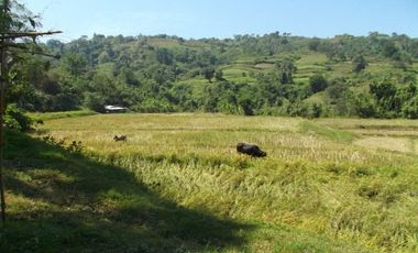 52 Hectares Titled Property For Sale, Bauang, La Union