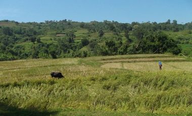 52 Hectares Titled Property For Sale, Bauang, La Union