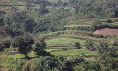 52 Hectares Titled Property For Sale, Bauang, La Union