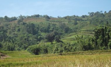 52 Hectares Titled Property For Sale, Bauang, La Union