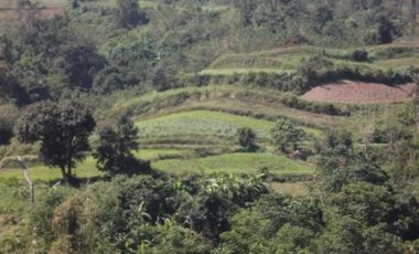 52 Hectares Titled Property For Sale, Bauang, La Union