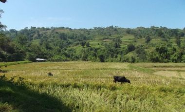 52 Hectares Titled Property For Sale, Bauang, La Union