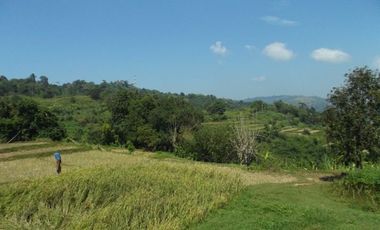 52 Hectares Titled Property For Sale, Bauang, La Union