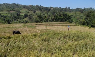 52 Hectares Titled Property For Sale, Bauang, La Union