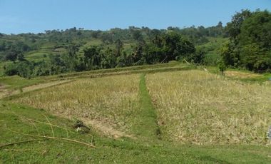 52 Hectares Titled Property For Sale, Bauang, La Union