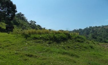 52 Hectares Titled Property For Sale, Bauang, La Union