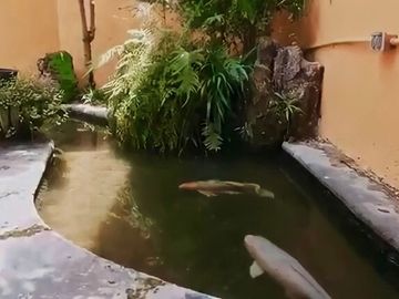 Casa en venta en coto en Colinas de San Javier