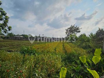 Dijual Tanah Borongan di Area Berkembang Tanjung Pasir