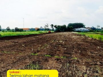 Tanah Harjosari lahan Matang: Sertipikat SHM