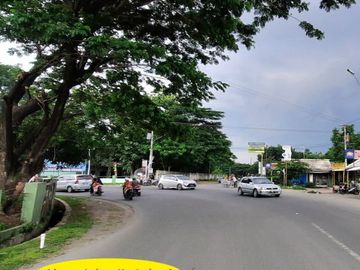 Tanah Harjosari lahan Matang: Sertipikat SHM