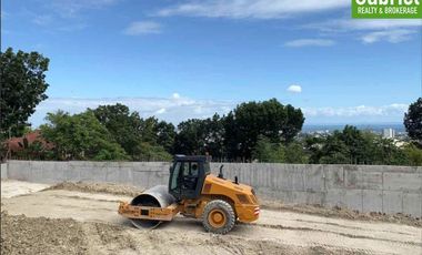 Townhouses for Sale in 138 East Overlook in Banawa