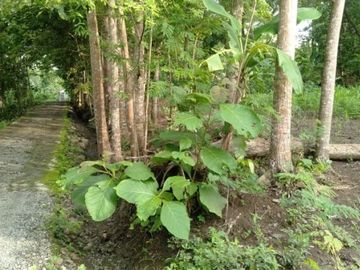 rumah dijual banyuroto nanggulan