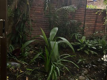 casa en venta en san fernando. Cod V867