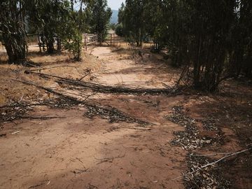 Parcela en venta en Limache
