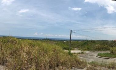 High End Lot only subdivision in Crown Heights Compostela