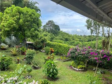 SE VENDE FINCA VIA MONTENEGRO