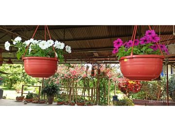 SE VENDE FINCA VIA MONTENEGRO