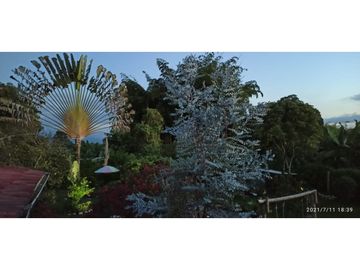 SE VENDE FINCA VIA MONTENEGRO