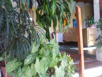 Venta PH 3 amb c/ patio/terraza