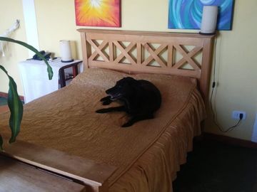 Venta PH 3 amb c/ patio/terraza