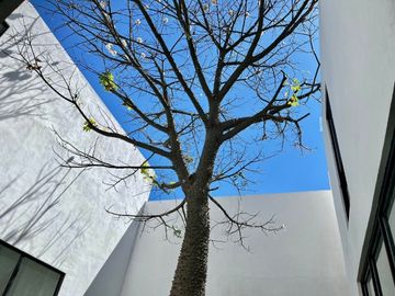 Norte de Cuernavaca