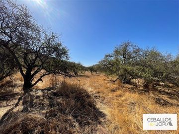Parcela en venta en Limache