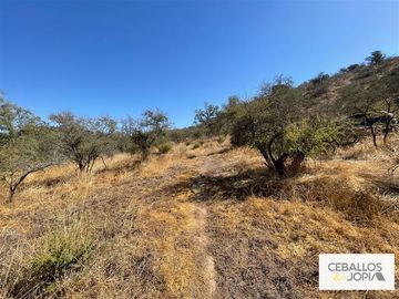 Parcela en venta en Limache