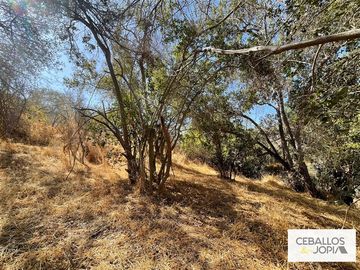 Parcela en venta en Limache