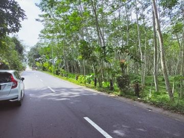 Tanah Pekarangan Luas Lokasi Pinggir Jalan di Wonokerto