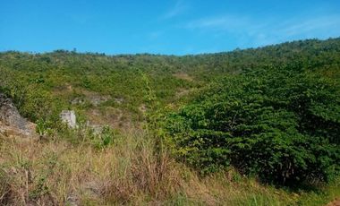 150 SQM Affordable Lot for Sale in Greenville Heights Consolacion Cebu with view