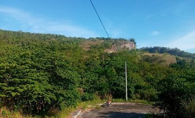 150 SQM Affordable Lot for Sale in Greenville Heights Consolacion Cebu with view