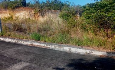 150 SQM Affordable Lot for Sale in Greenville Heights Consolacion Cebu with view