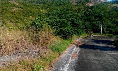150 SQM Affordable Lot for Sale in Greenville Heights Consolacion Cebu with view