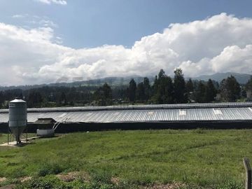 Extensa propiedad de Venta sector Tambillo