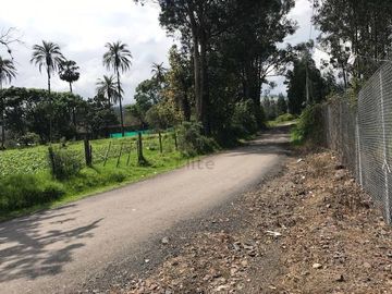 Extensa propiedad de Venta sector Tambillo